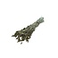 Golden Phalaris dried flowers | Length ± 65 centimetres | Weight ± 150 grams
