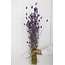 Milka purple Phalaris dried flowers | Length ± 65 centimetres | Weight ± 150 grams