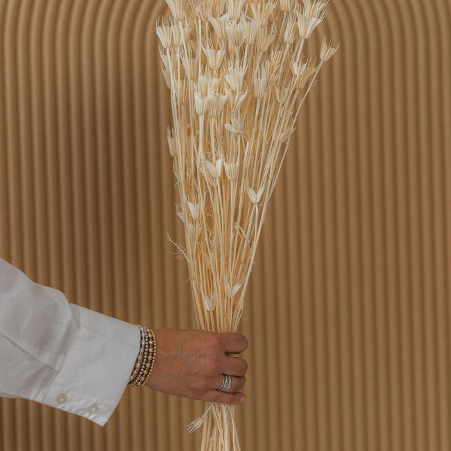 Weiß gebleichte Nigella Orientalis Trockenblumen | Länge ± 50 Zentimeter | Gewicht ± 100 Gramm