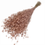 Zalmkleurige Linum - Vlas droogbloemen | Lengte ± 55 centimeter | Gewicht ± 150 gram