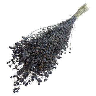 Dutch Dried Grey Misty Linum - Flax dried flowers | Length ± 55 centimetres | Weight ± 150 grams