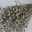 Grey Misty Linum - Flax dried flowers | Length ± 55 centimetres | Weight ± 150 grams