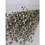 Grey Misty Linum - Vlas droogbloemen | Lengte ± 55 centimeter | Gewicht ± 150 gram