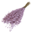 Roze Linum - Vlas droogbloemen | Lengte ± 55 centimeter | Gewicht ± 150 gram