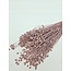 Roze Linum - Vlas droogbloemen | Lengte ± 55 centimeter | Gewicht ± 150 gram
