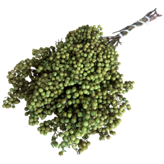 Dutch Dried Mint Green Schinus - Pepper Berries Dried Decoration | Length ± 35 centimetres | Weight ± 150 grams