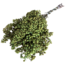Minzgrüne Schinus - Pfefferbeeren Trockenblumendekoration | Länge ± 35 Zentimeter | Gewicht ± 150 Gramm