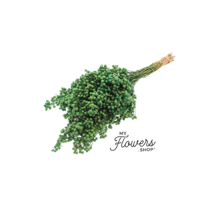 Minzgrüne Schinus - Pfefferbeeren Trockenblumendekoration | Länge ± 35 Zentimeter | Gewicht ± 150 Gramm