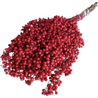 Dutch Dried Red Schinus - Pepper berries dry decoration | Length ± 35 centimetres | Weight ± 150 grams