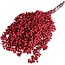 Red Schinus - Pepper Berries Dried Decoration | Length ± 35 centimetres | Weight ± 150 grams
