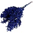 Dark Blue Schinus - Pepper Berries Dried Decoration | Length ± 35 centimetres | Weight ± 150 grams