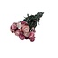 Rosa Helichrysum - Strohblume Trockenblumen| Länge ± 55 Zentimeter | Gewicht ± 75 Gramm