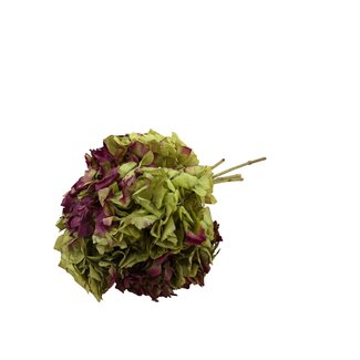 Casa Alegria Groen-rood gepreserveerde Hydrangea | Lengte ± 40 centimeter | Gewicht ± 50 gram