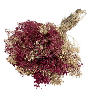 Casa Alegria Mélange doré de Bordeaux Gypsophile préservée fleurs séchées