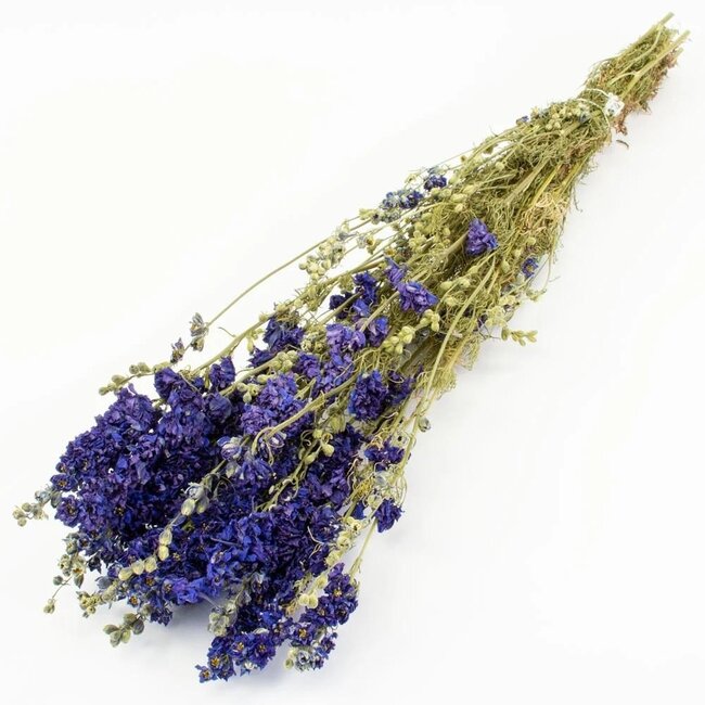 Natural Blue Delphinium - Larkspur dried flowers | Length ± 70 centimetres | Weight ± 100 grams