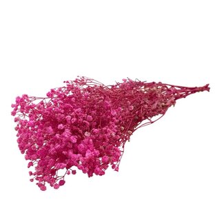 Dutch Dried Roze Gypsophila droogbloemen | Gepreserveerd Gipskruid | Lengte ± 65 centimeter | Per 100 gram