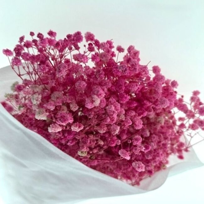 Pink Gypsophila dried flowers | Preserved Baby's Breath | Length ± 65 centimetres | Per 100 grams