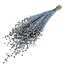 Zilverkleurige Linum - Vlas droogbloemen | Lengte ± 55 centimeter | Gewicht ± 150 gram