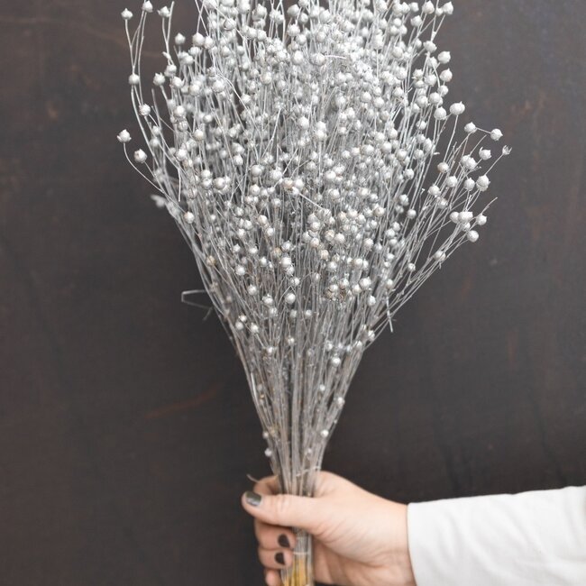 Silberfarbene Linum - Flachs Trockenblumen | Länge ± 55 Zentimeter | Gewicht ± 150 Gramm