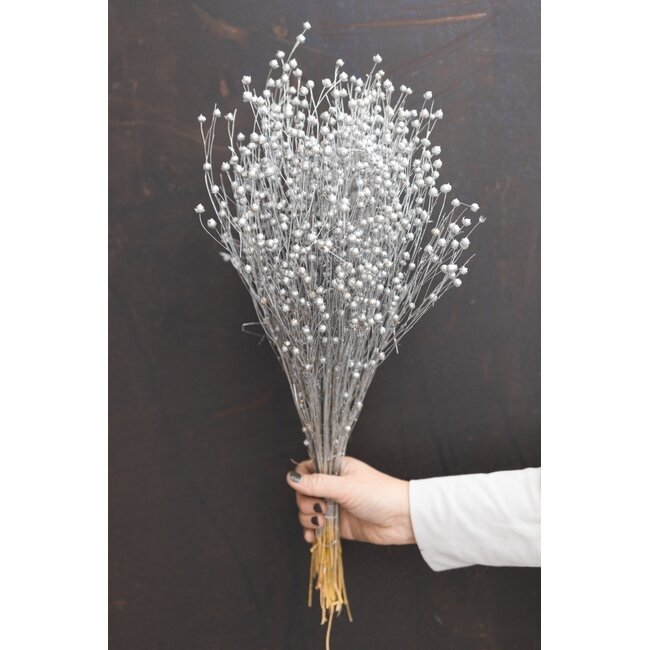 Zilverkleurige Linum - Vlas droogbloemen | Lengte ± 55 centimeter | Gewicht ± 150 gram