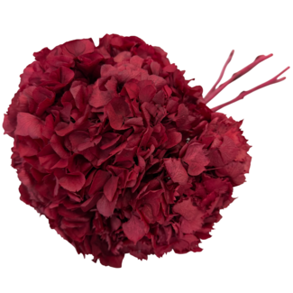 Casa Alegria Fleurs d'Hortensia rouges préservées | Longueur ± 30 centimètres | Poids ± 50 grammes