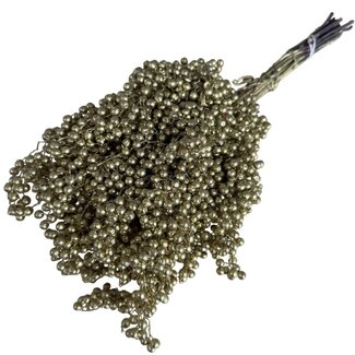Dutch Dried Gouden Schinus - Peperbessen droogdecoratie | Lengte ± 35 centimeter | Gewicht ± 150 gram