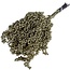 Goldene Schinus - Pfefferbeeren Trockenblumendekoration | Länge ± 35 Zentimeter | Gewicht ± 150 Gramm