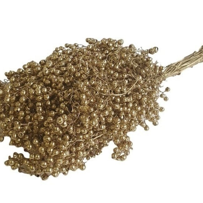 Goldene Schinus - Pfefferbeeren Trockenblumendekoration | Länge ± 35 Zentimeter | Gewicht ± 150 Gramm