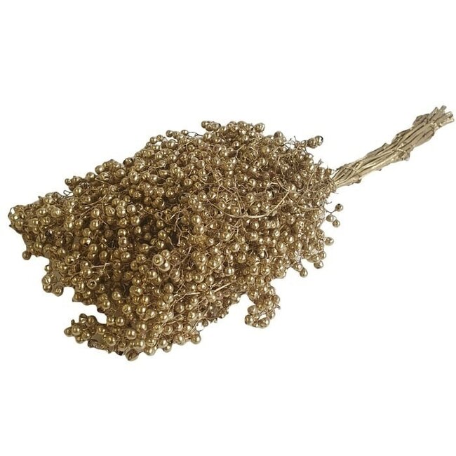 Goldene Schinus - Pfefferbeeren Trockenblumendekoration | Länge ± 35 Zentimeter | Gewicht ± 150 Gramm