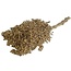 Goldene Schinus - Pfefferbeeren Trockenblumendekoration | Länge ± 35 Zentimeter | Gewicht ± 150 Gramm