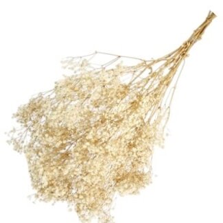 Casa Alegria White Gypsophila dried flowers | Preserved Baby's Breath | Length ± 65 centimetres | Per 100 grams