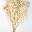 White Gypsophila dried flowers | Preserved Baby's Breath | Length ± 65 centimetres | Per 100 grams