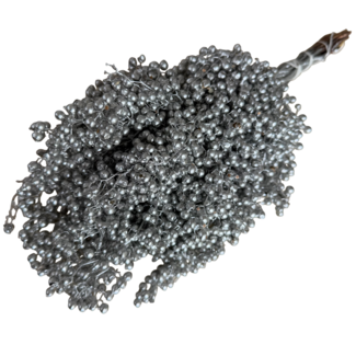 Dutch Dried Silberfarbener Schinus - Pfefferbeeren Trockenblumendekoration | Länge ± 35 Zentimeter | Gewicht ± 150 Gramm