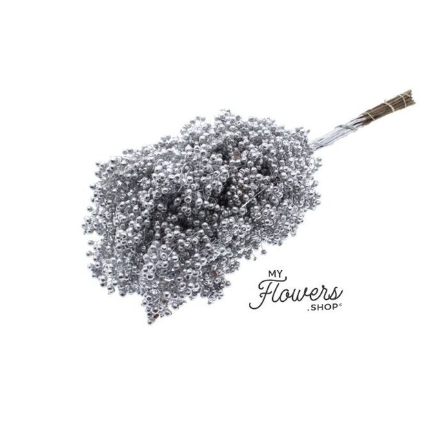 Zilverkleurige Schinus - Peperbessen droogdecoratie | Lengte ± 35 centimeter | Gewicht ± 150 gram