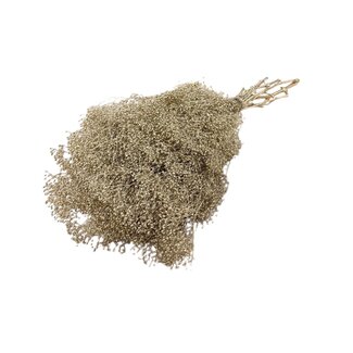 Casa Alegria Gypsophile Mini séchées dorées | Longueur ± 50 centimètres | Poids 100 grammes