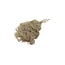 Gold-coloured Gypsophila Mini dried flowers | Length ± 50 centimetres | Weight 100 grams
