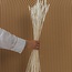 Wit gebleekte Triticum - Tarwe droogbloemen | Lengte ± 70 centimeter | Gewicht ± 175 gram