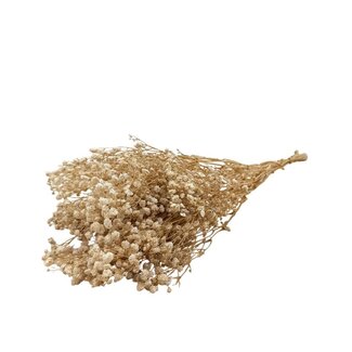 Dutch Dried Naturelle Gypsophila Trockenblumen | Konserviertes Schleierkraut | Länge ± 65 Zentimeter | Pro 100 Gramm
