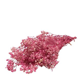 Dutch Dried Light Pink Gypsophila Dried Flowers | Preserved Baby's Breath | Length ± 65 centimetres | Per 100 grams
