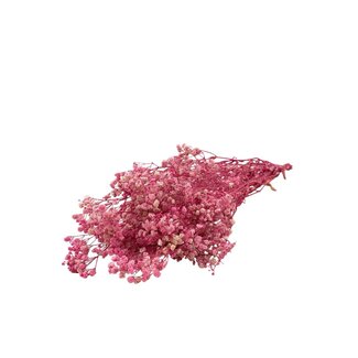 Dutch Dried Hellrosa Gypsophila Trockenblumen | Konserviertes Schleierkraut | Länge ± 65 Zentimeter | Pro 100 Gramm