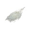 White bleached Lepidium dried flowers | Length ± 60 centimetres | Weight ± 75 grams
