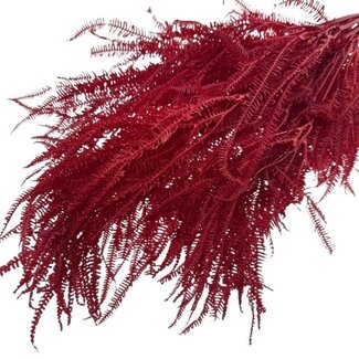 Casa Alegria Red bleached and preserved Fern | Length ± 60 centimetres | Weight ± 100 grams