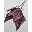 Roze gedroogde Palm Speer | Lengte ± 45 centimeter | Per 5 takken