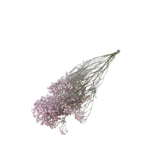 Dutch Dried Pink Gypsophila dried flowers | Dried Baby's Breath | Length ± 65 centimetres | Per 5 stems