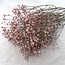 Gypsophile rose fleurs séchées | Gypsophile séchée | Longueur ± 65 centimètres | Par 5 branches