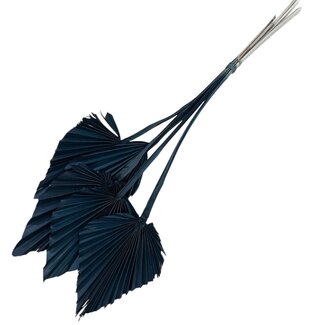 Dutch Dried Black Dried Palm Spear | Length ± 45 centimetres | Per 5 stems