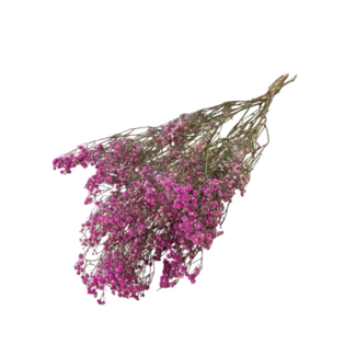 Dutch Dried Donkerroze Gypsophila droogbloemen | Gedroogd Gipskruid | Lengte ± 65 centimeter | Per 5 takken