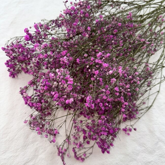 Donkerroze Gypsophila droogbloemen | Gedroogd Gipskruid | Lengte ± 65 centimeter | Per 5 takken