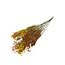 Miami Mix Gypsophila dried flowers | Dried Baby's Breath | Length ± 65 centimetres | Per 5 stems