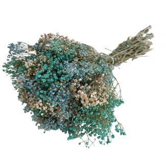 Casa Alegria Blauwe Mix Gypsophila droogbloemen | Gepreserveerd Gipskruid | Lengte ± 65 centimeter | Per 100 gram